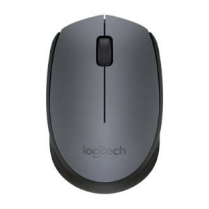 Logitech M170