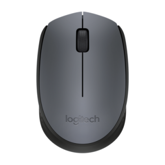 Logitech M170